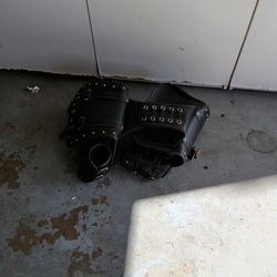 Saddle bags sportster