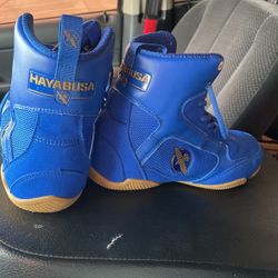 Blue And Good Boxing Shoes 