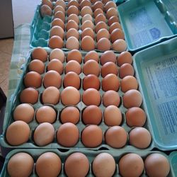 Fresh Eggs / Huevos Frescos