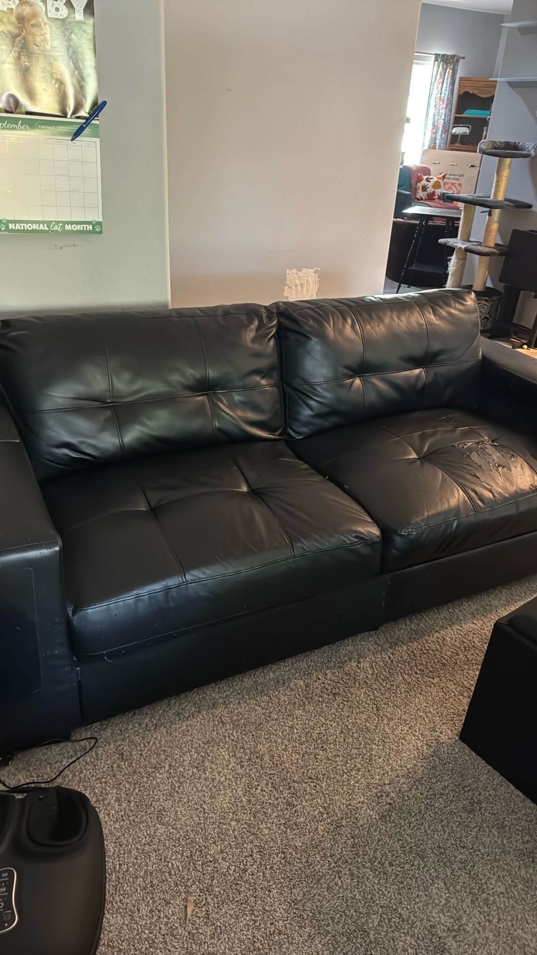 Leather Sofa