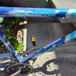 Quasar Raptor Mountain Bike *Frame And Brakes Only*