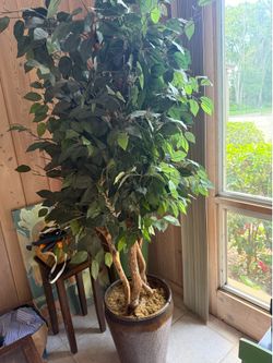 Silk leaves fake ficus tree with copper pot