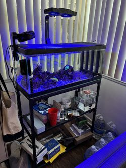 20 Gal Salt Water Aquarium 