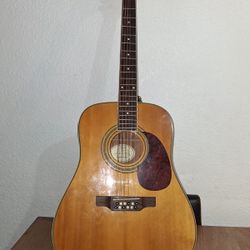 12-string-acoustic guitar