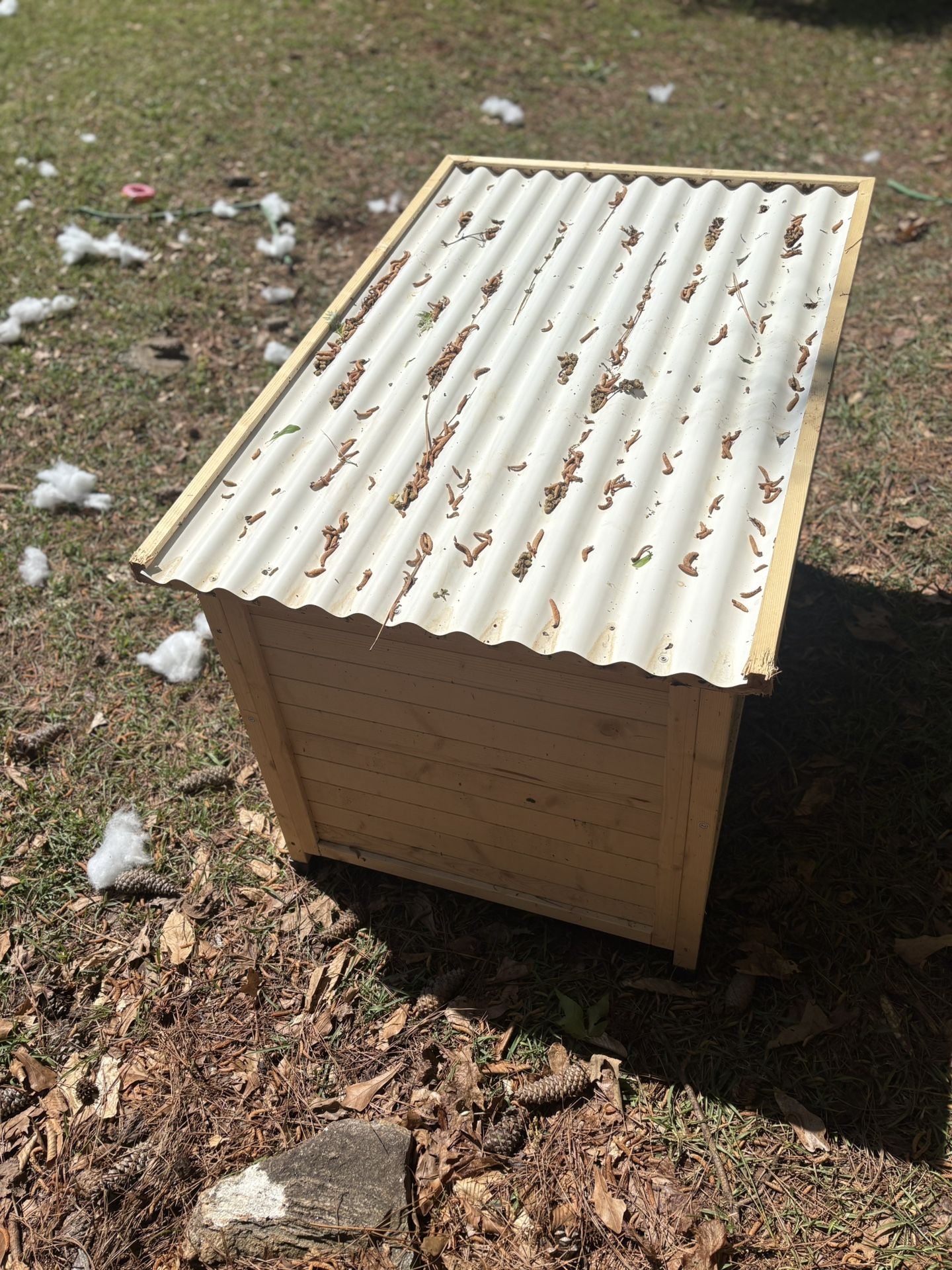 Dog House