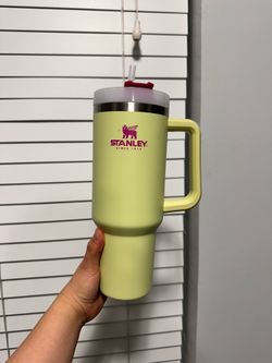 Green and Pink Stanley Cup 40oz