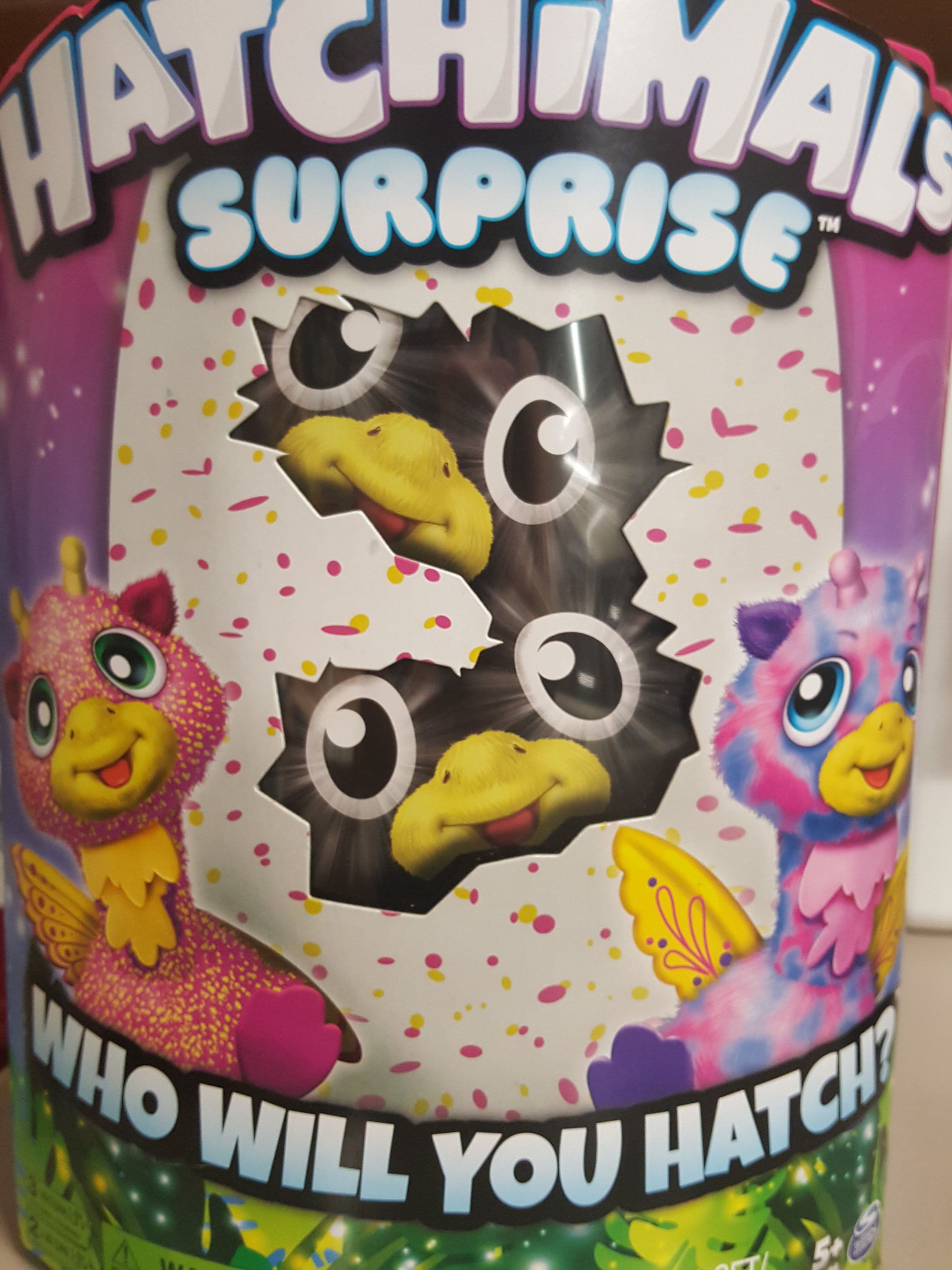 Hatchimals surprise