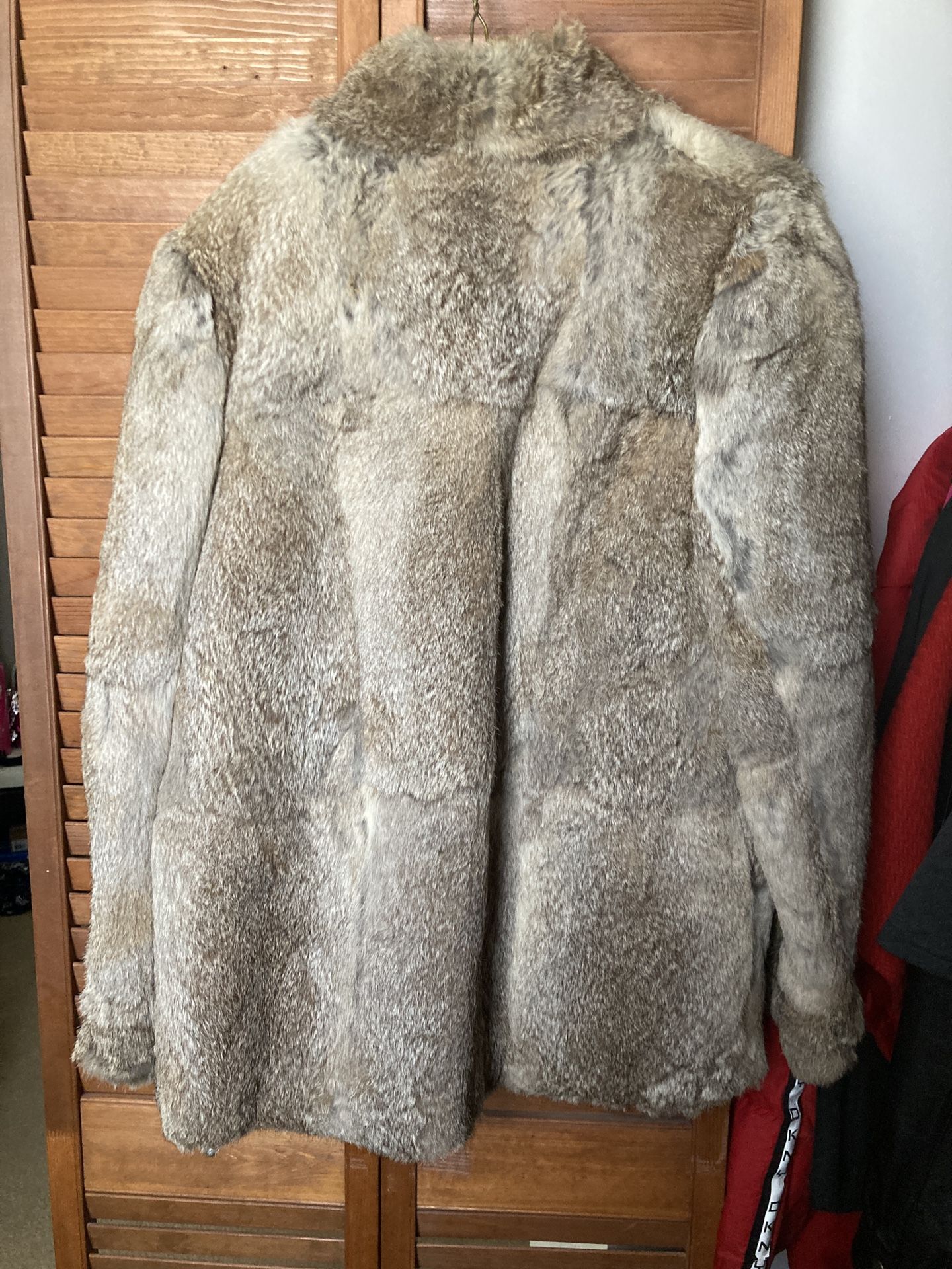 Rabbit Coat