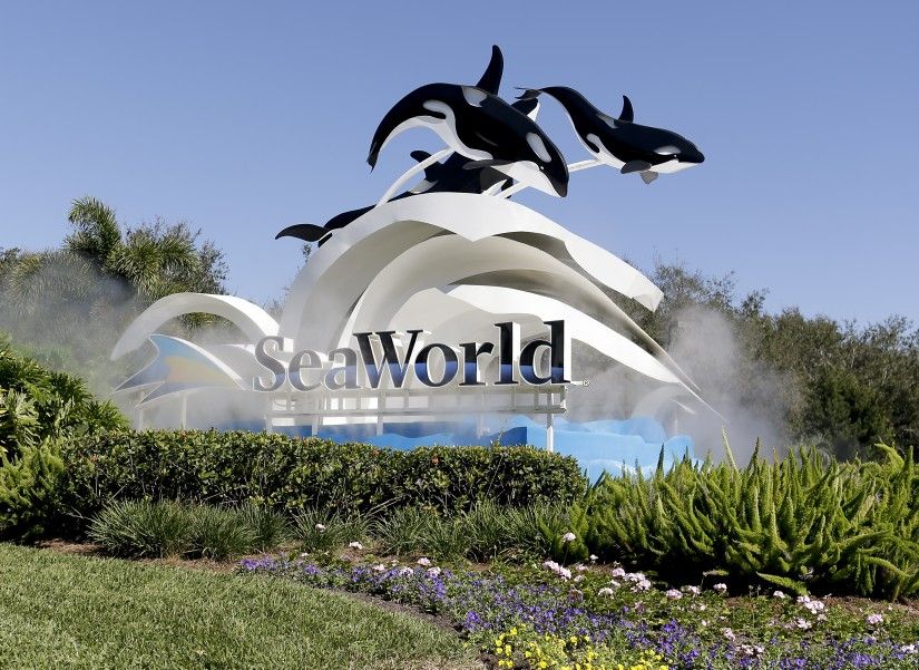 Seaworld Tickets