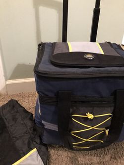 CaAlifornia innovations ice bag