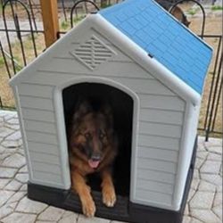 Brand New In Box Xl Dog House Water Resistant Raised Base Dog Igloo Pet Shelter Casa De Mascota Add A Bed For $25