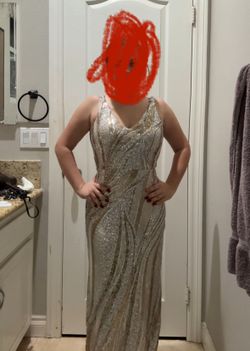 Silver And Gold Gown