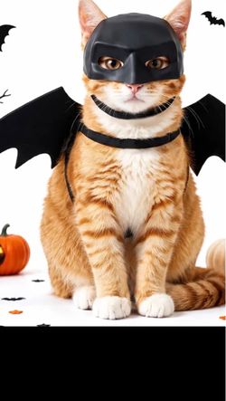 Cat Halloween costume never used pickup In Southwest Bakersfield