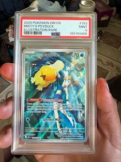 Mistys pysduck
