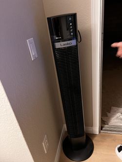 Fan