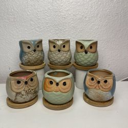 Small Owls Planters-Ceramic Owl Pots-(2.50”wide x 3”tall $3 each)
