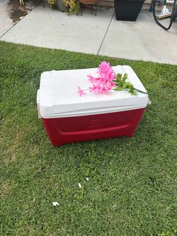 Igloo cooler