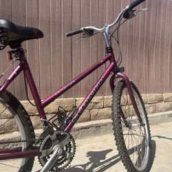 Schwinn Mountain Bike 26” Purple
