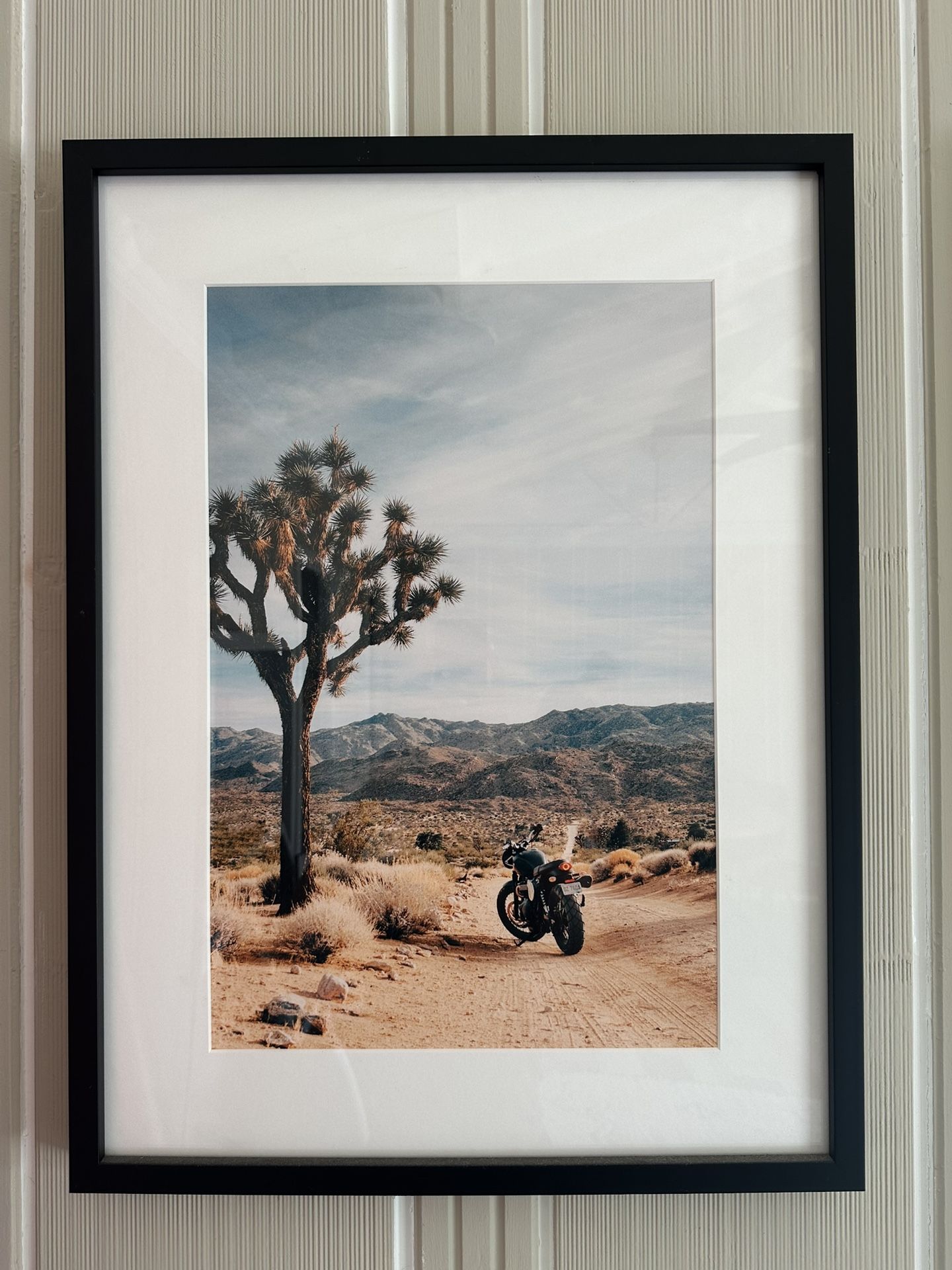 House Of Spoils - Joshua Tree Print 