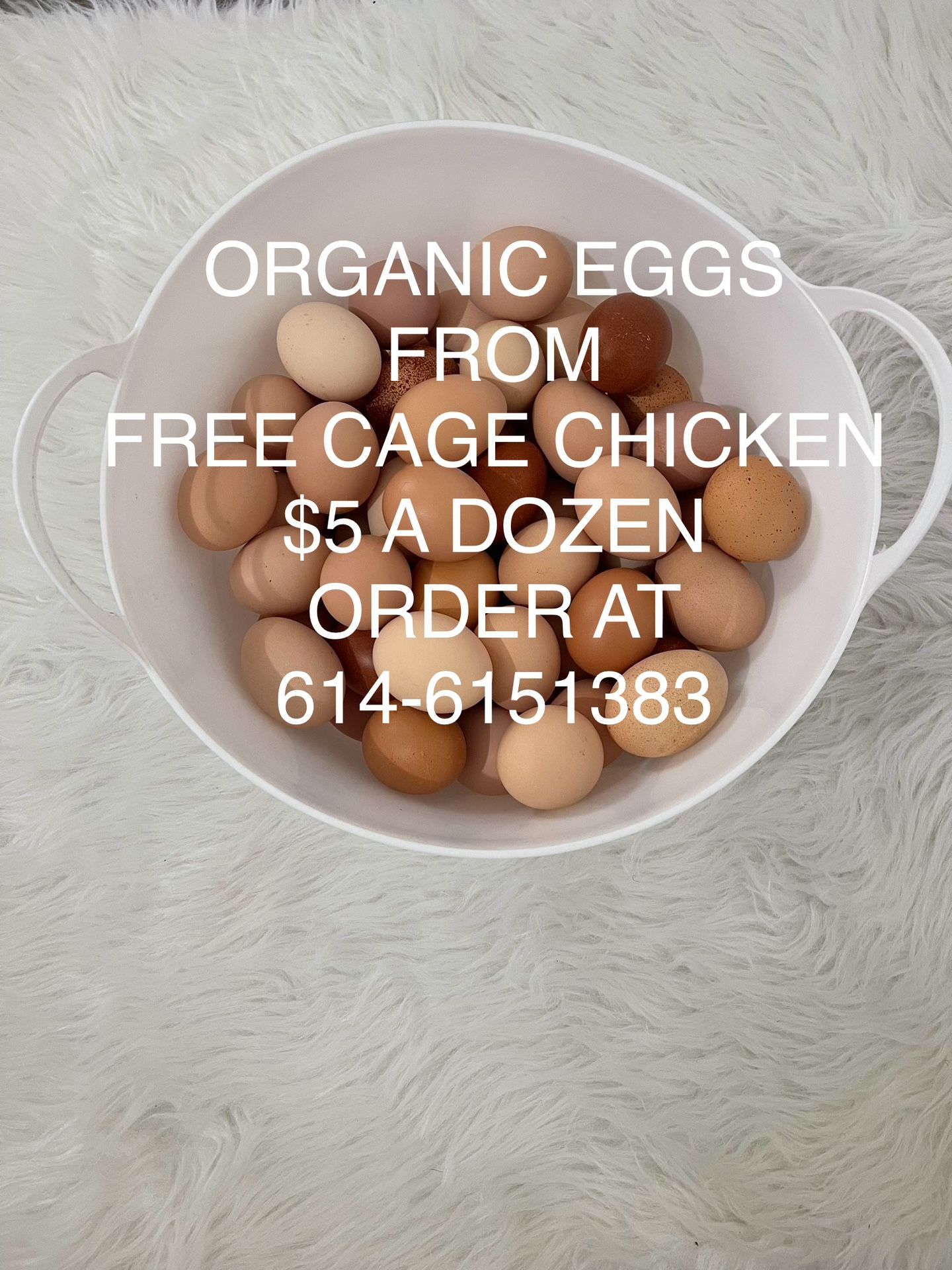 Organic Free Cage Eggs