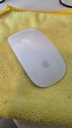 Apple Magic Mouse 2 (used for 30 minutes)