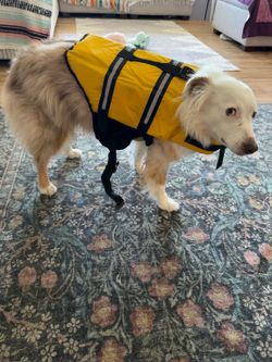 Large Dog Life Jacket / Dog Flotation Vest – Bright Yellow