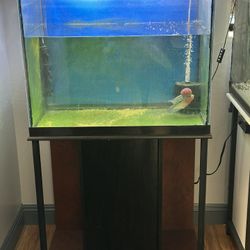 55gallons Tall