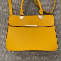 Aldo Purse