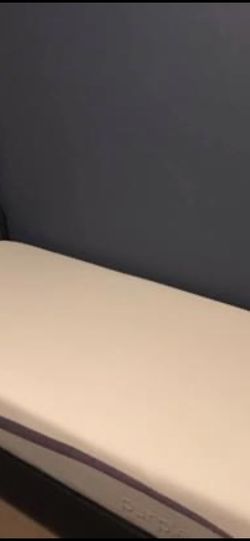 Purple Twin XL Mattress