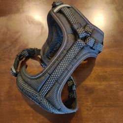 Harness for Small Dog 