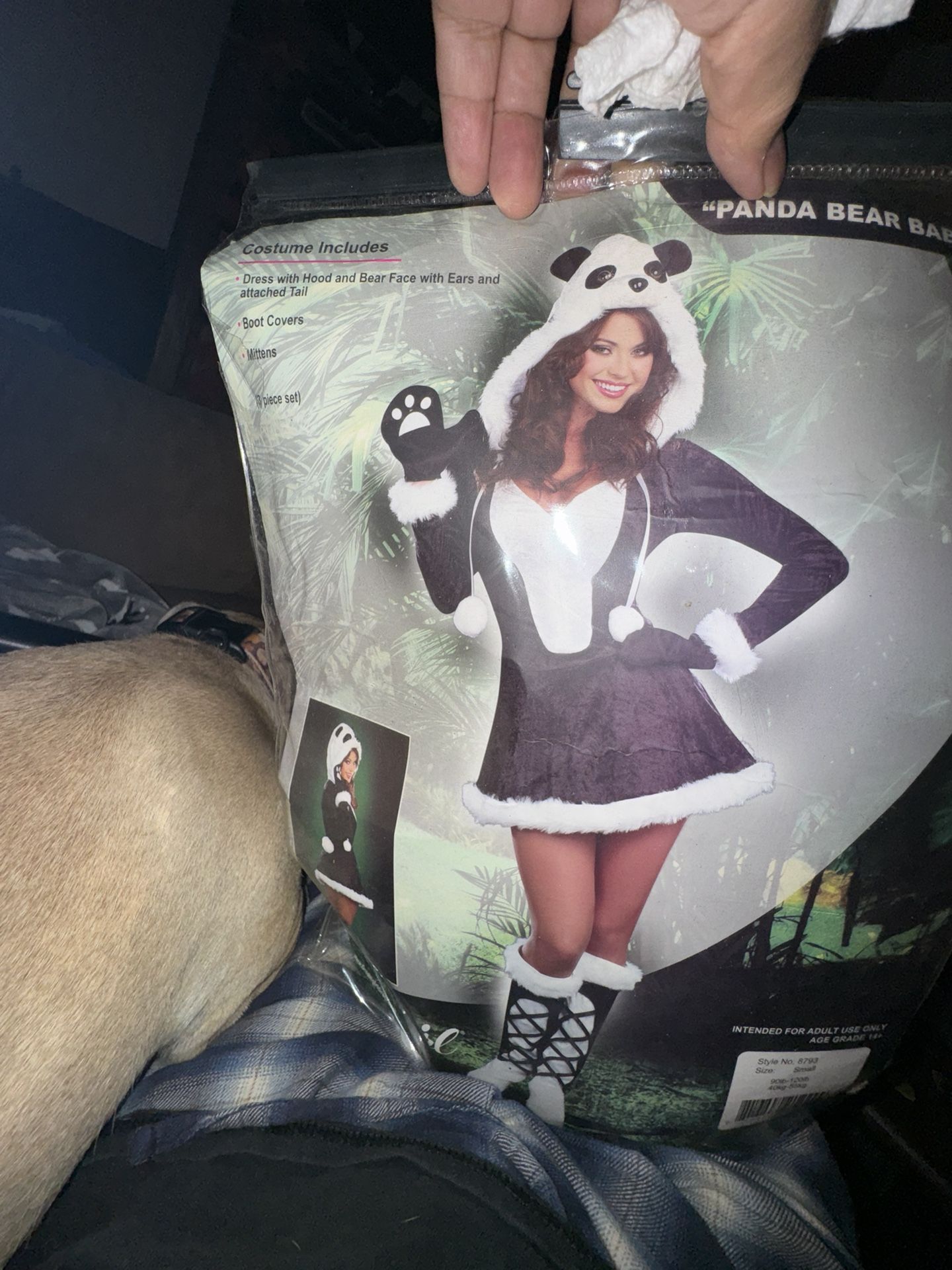 Free Panda Girl Outfit