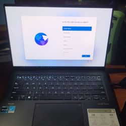 Asus Zenbook OLED (Q420V)