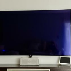 83” LG OLED B4. Only had it for 8 months.
