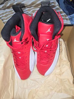 Air Jordan 12