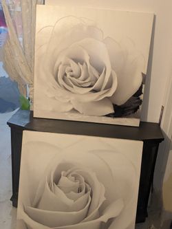 2 Beautiful White Rose Paintings w/Grey Accents 