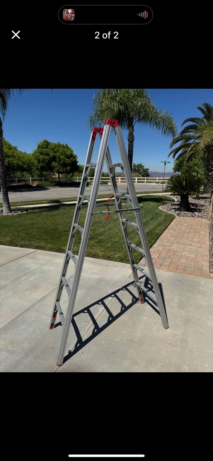 Folding Ladder
