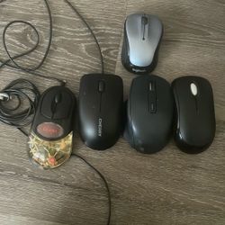 Mouse 