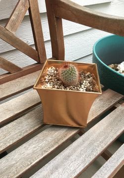 COPPER PLANTER WITH SUCCULENT