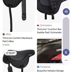 Thin Line Bareback Saddle Pad