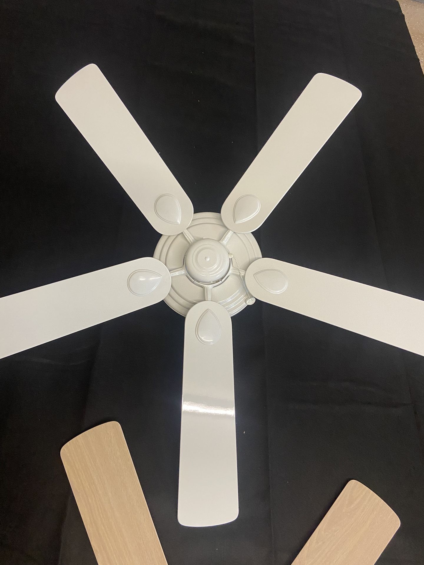 Ceiling Fans