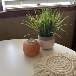 Cute Fake Plant