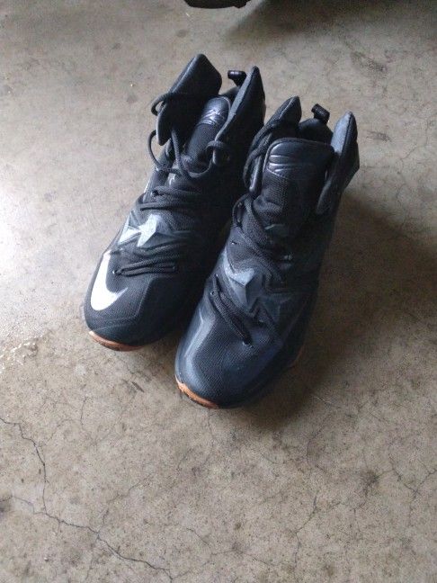 LeBron James Basketball Shoes Size 10