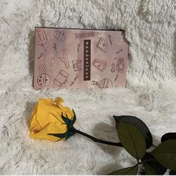 Colorful Eyeshadow Palette