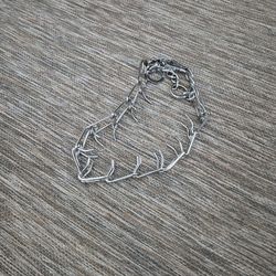 Large Dog Collar