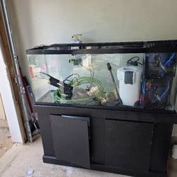 55gl Aquarium