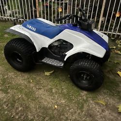 2005 Yamaha Breeze Atv