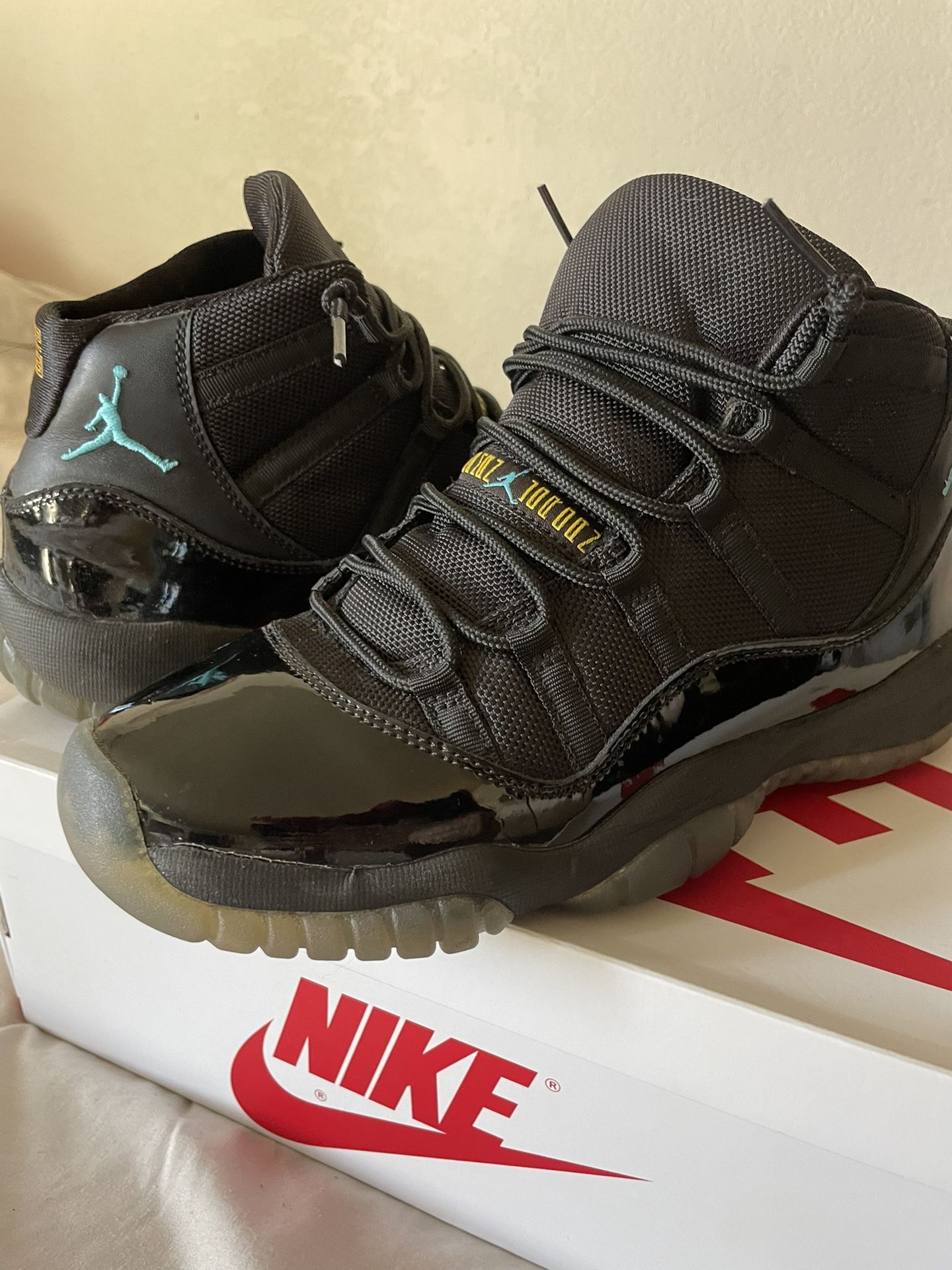 Air Jordan 11s