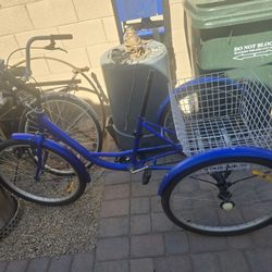 $140 Adult Trysicle Needs Seat 