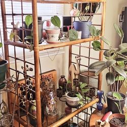 Ratton Wicker Shelves