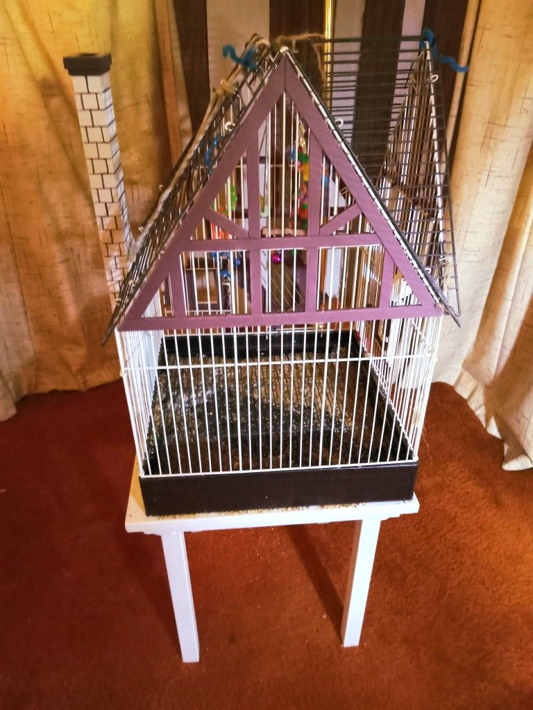 BIRD CAGE. 26X 39X 28. RARE COOL 😎